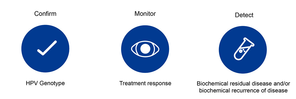 Confirm, Monitor, and Detect icons